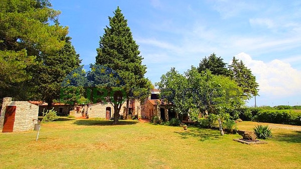 Wunderschönes grüne Anwesen in Novigrad