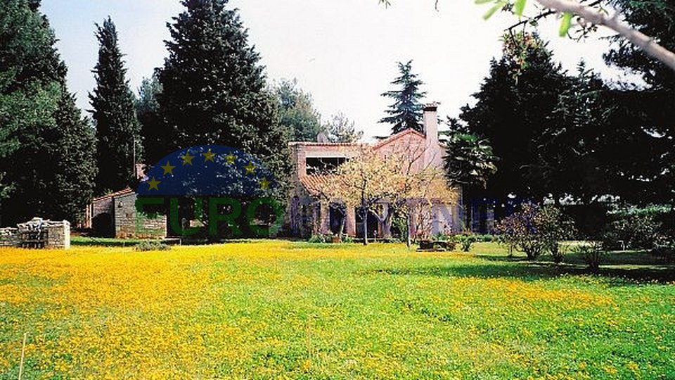 Prekrasno imanje u Novigradu