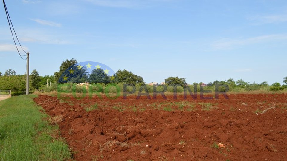 complex of building land (2.000 m2) and agricultural land (2.336 m2)!
