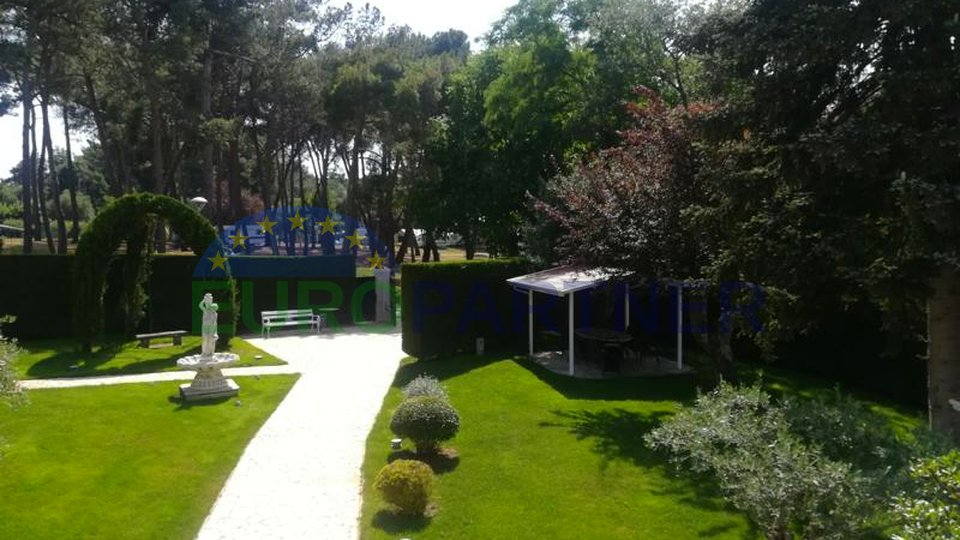 Villa surrounded by greenery near the sea