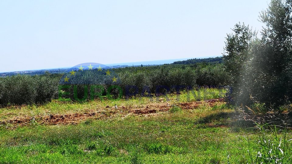 Poljoprivredno zemljište sa pogledom na more i maslinikom
