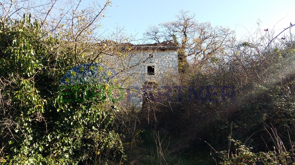 Rarity on the market - Istrian Stancija with three houses, sea view and 76.600m2 land, Vodnjan