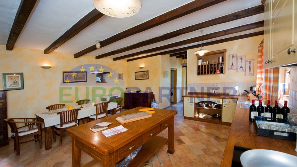 Samostojeća kamena vila sa bazenom i okućnicom od 6500m2,Tinjan