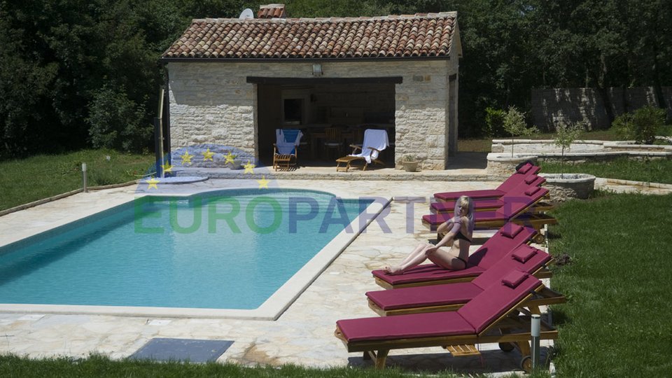 Samostojeća kamena vila sa bazenom i okućnicom od 6500m2,Tinjan