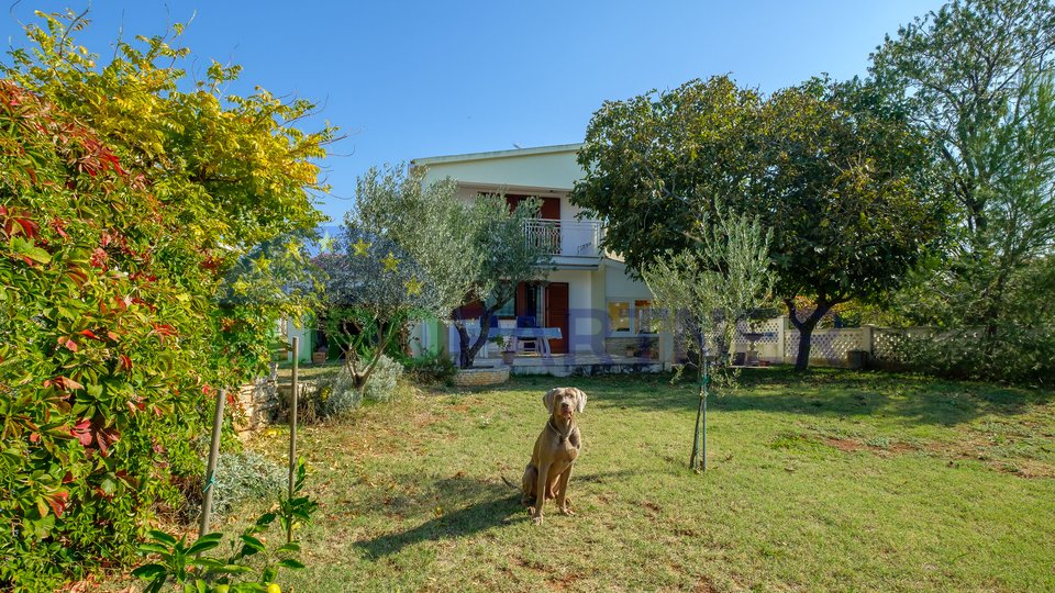 Freistehendes Einfamilienhaus mit großem Garten- Stadt Pula umgebung