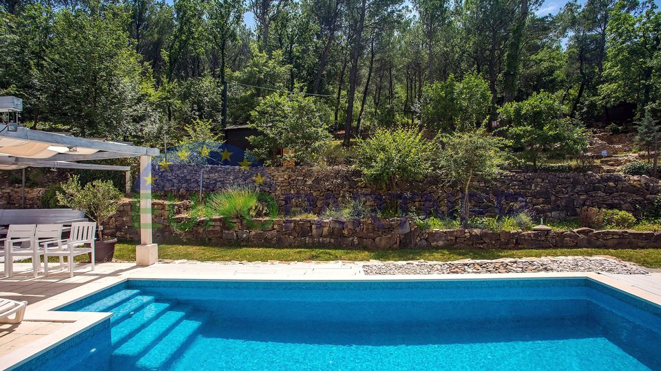 Vila sa bazenom smještena u šumi – spoj modernog dizajna i djevičanske prirode