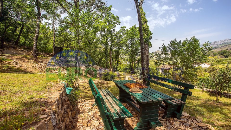 Vila sa bazenom smještena u šumi – spoj modernog dizajna i djevičanske prirode