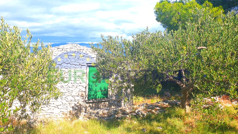 Grundstück mit Olivenhain und Meerblick, 20.000 m2