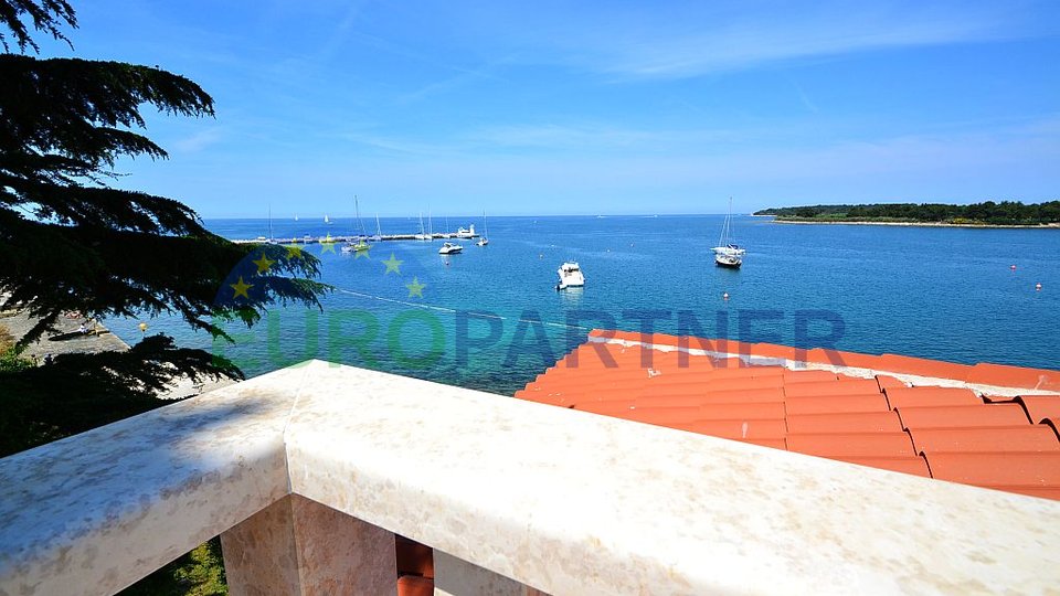 Novigrad, House with 3 apartments