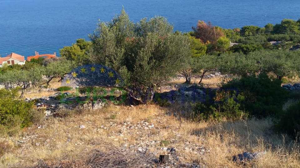 Building land only 100m from the sea, Postira Brač