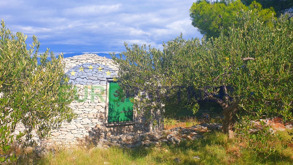 Indigenous stone house with olive grove and sea view
