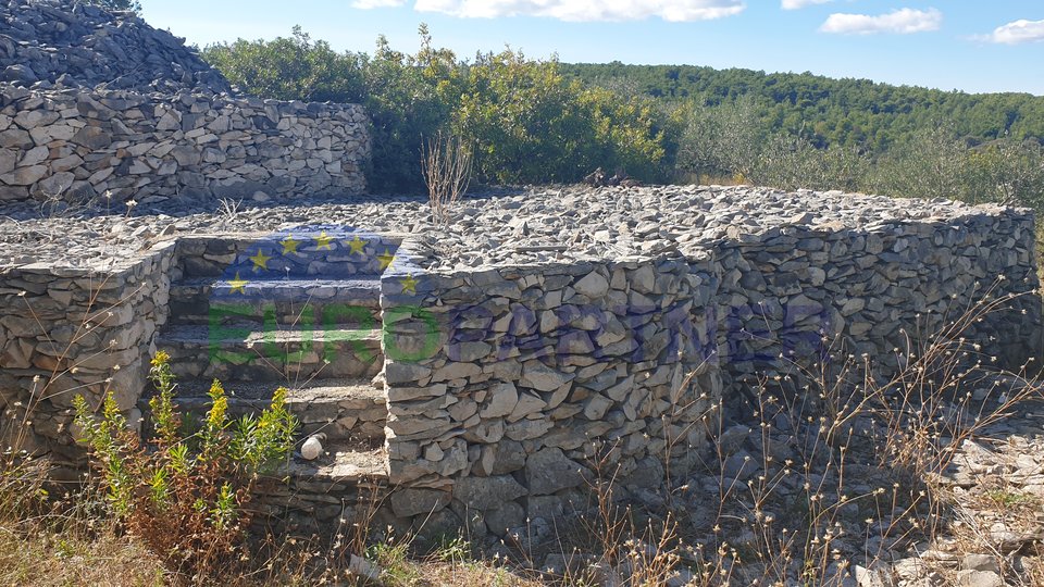 Einheimisches Steinhaus mit Olivenhain und Meerblick