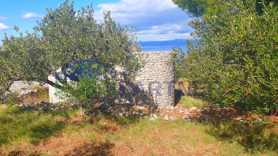 Brač, autohtona kamena kućica sa maslinikom i pogledom na more, prodaja
