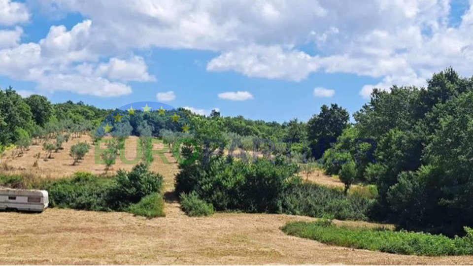 Opportunity! Agricultural land near Rovinj