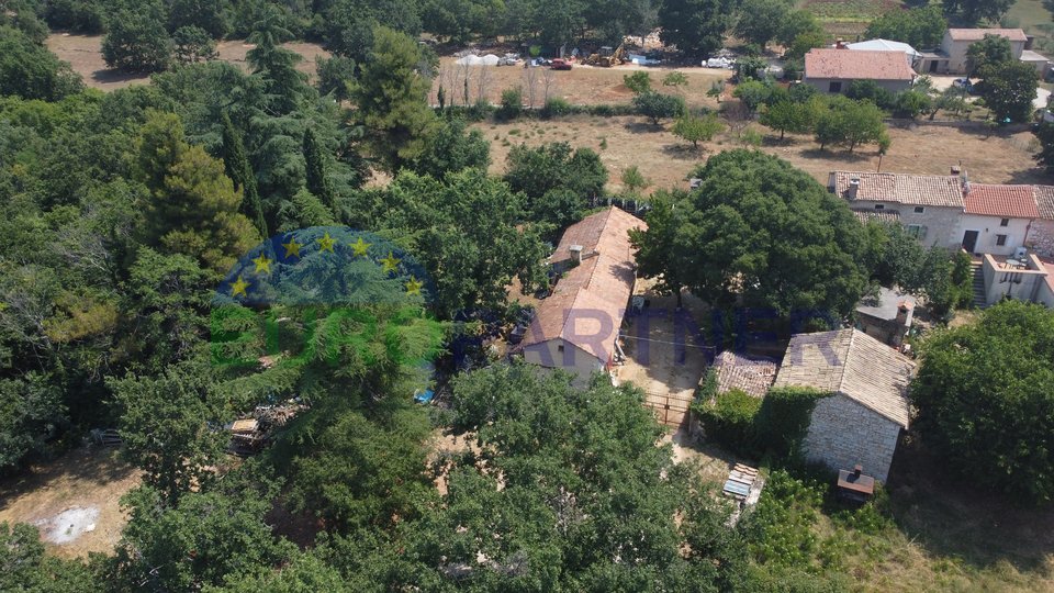 Building plot of 3000m2 with a house for adaptation, Poreč area