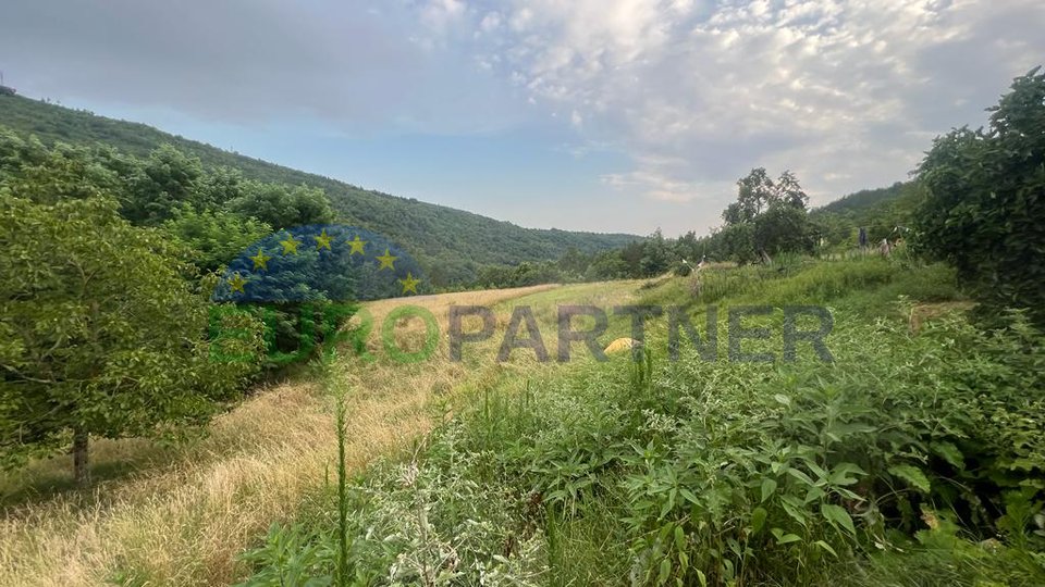 A unique opportunity! A building plot with a house and agricultural land in the vicinity of Sovinjak is for sale