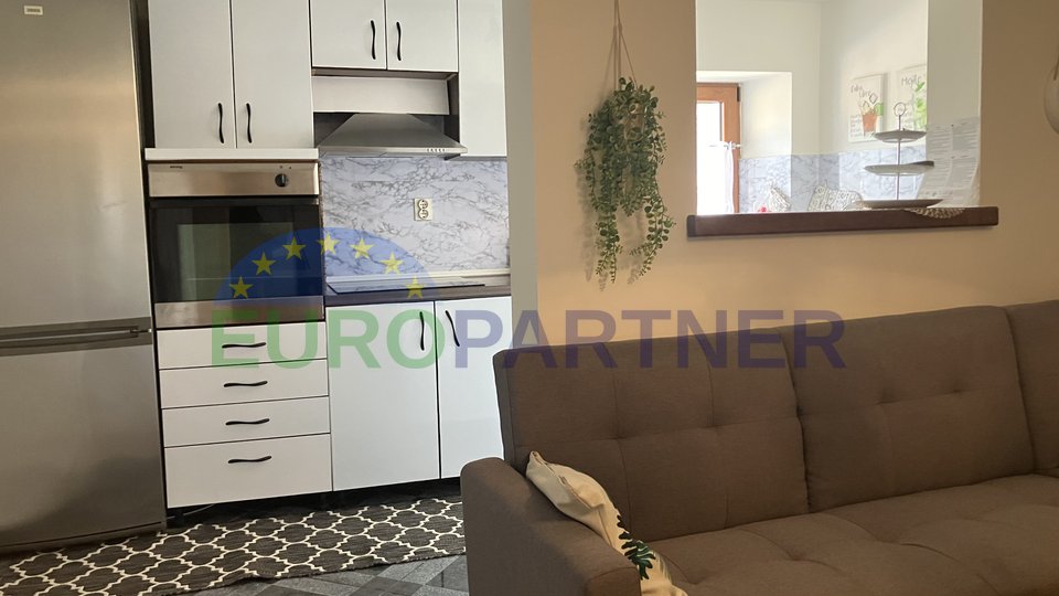 Furnished apartment in the center of Novigrad