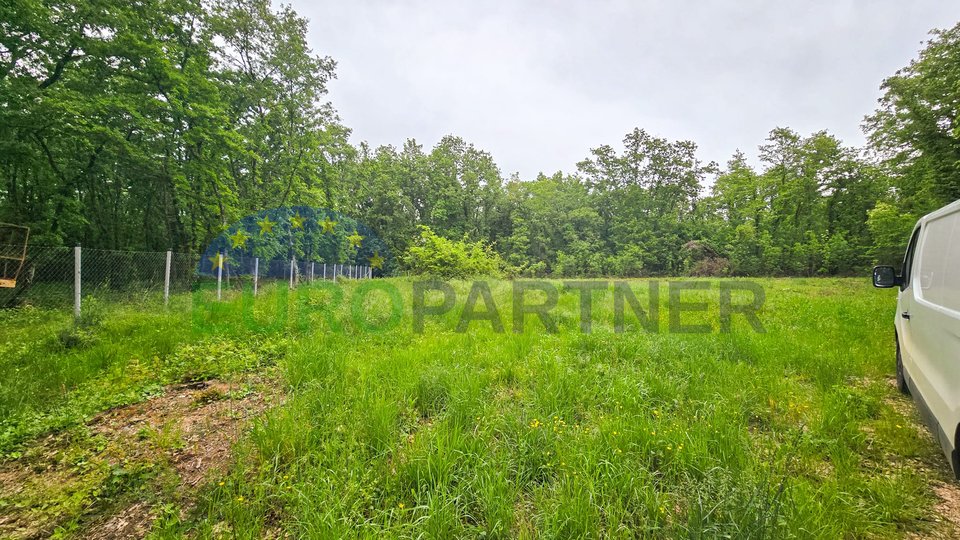 Land with building permit, Brtonigla, Istria