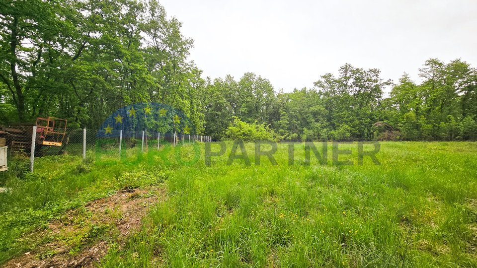 Land with building permit, Brtonigla, Istria