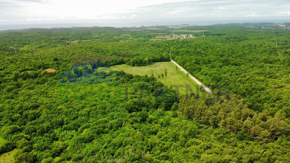 Istra, okolica Vrsara, samostojeća kuća sa tri stana