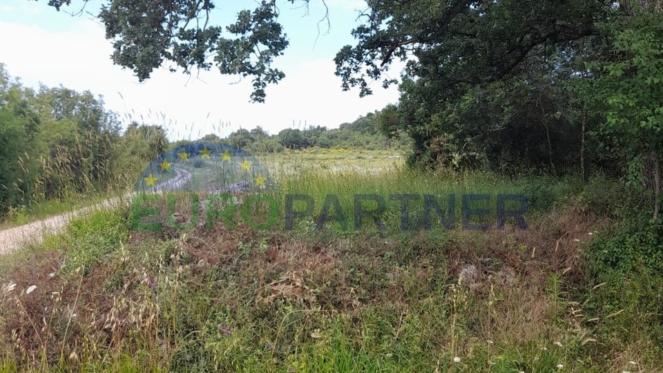 Istrien, Rovinj, landwirtschaftliche Flächen