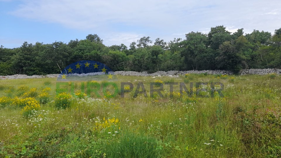 Istria, Rovinj, agricultural land