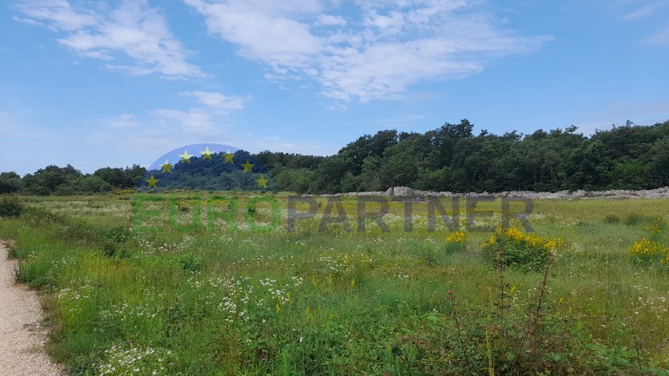 Istria, Rovinj, agricultural land