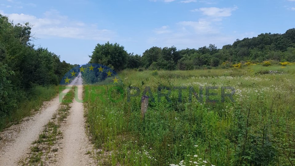 Istrien, Rovinj, landwirtschaftliche Flächen