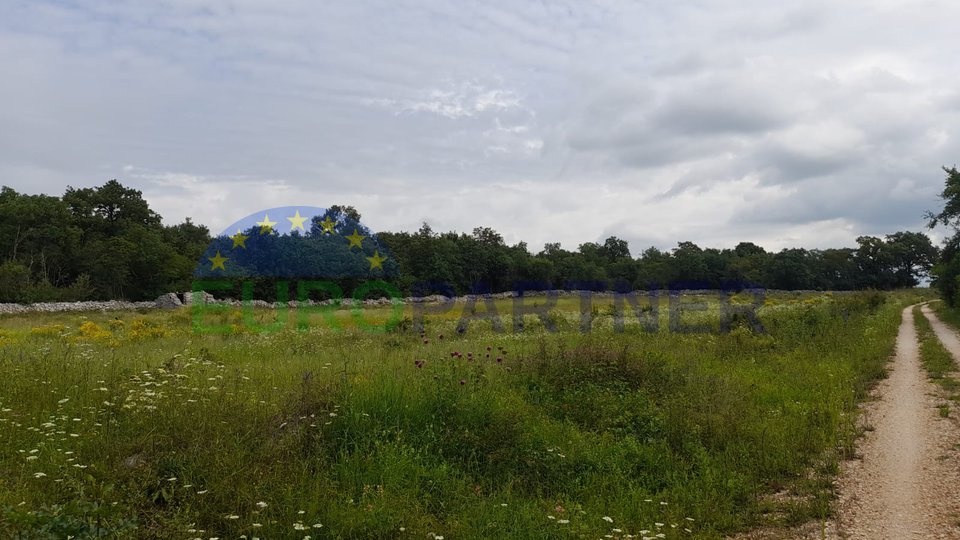 Istrien, Rovinj, landwirtschaftliche Flächen