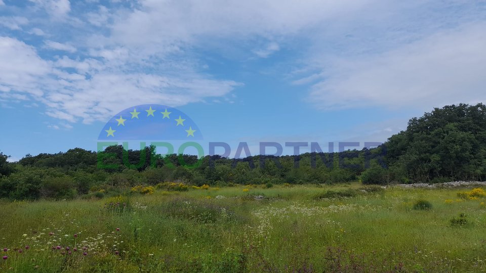 Istria, Rovinj, agricultural land