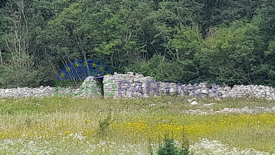 Istria, Rovigno, terreno agricolo