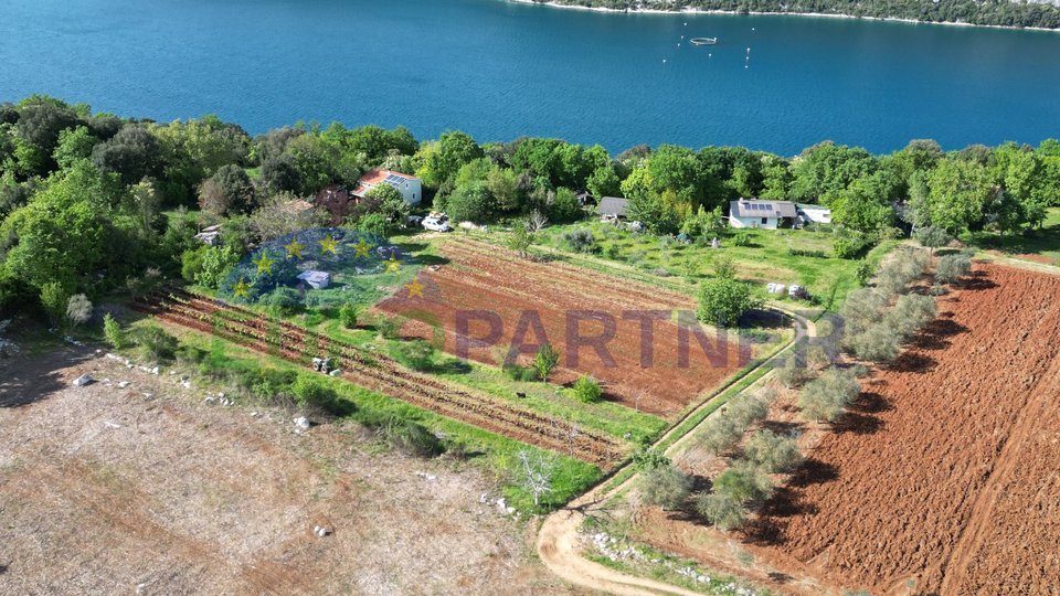 Istria, Rovinj, agricultural land by the sea