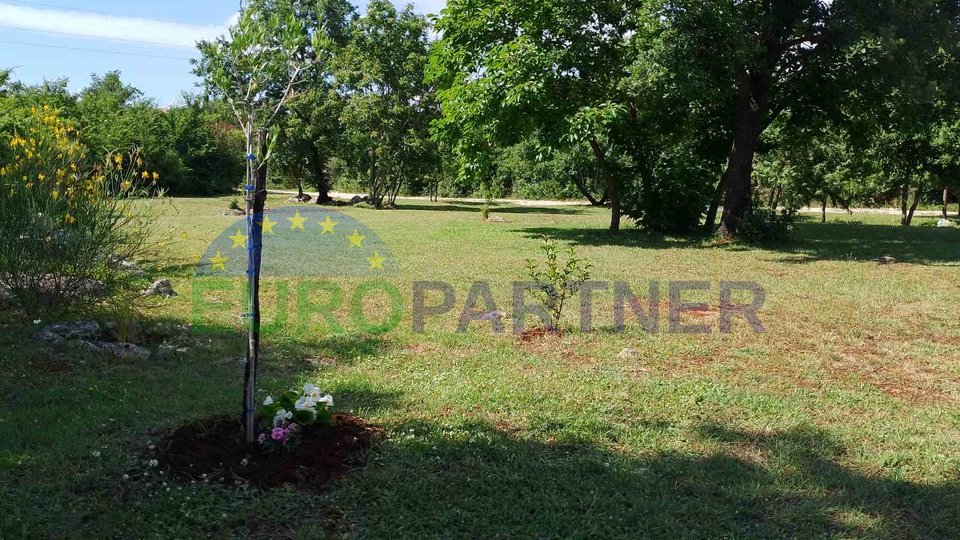 Istria, agricultural land near the center of Rovinj