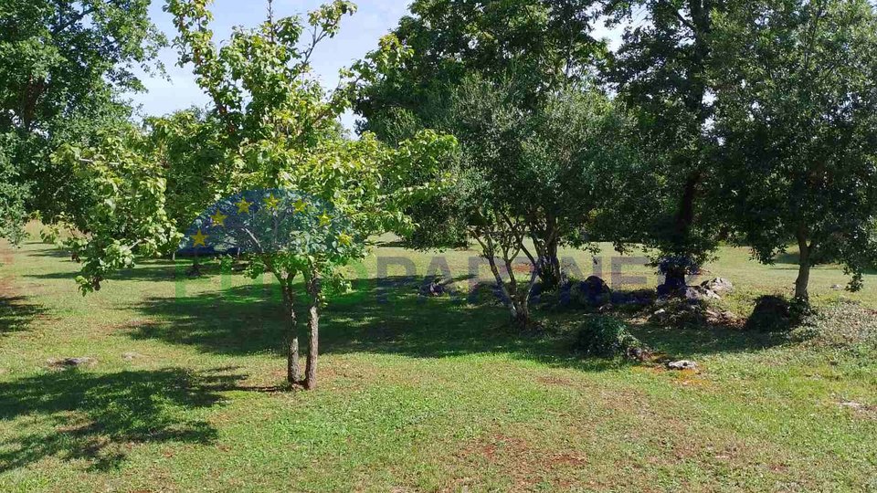 Istria, terreno agricolo vicino al centro di Rovigno