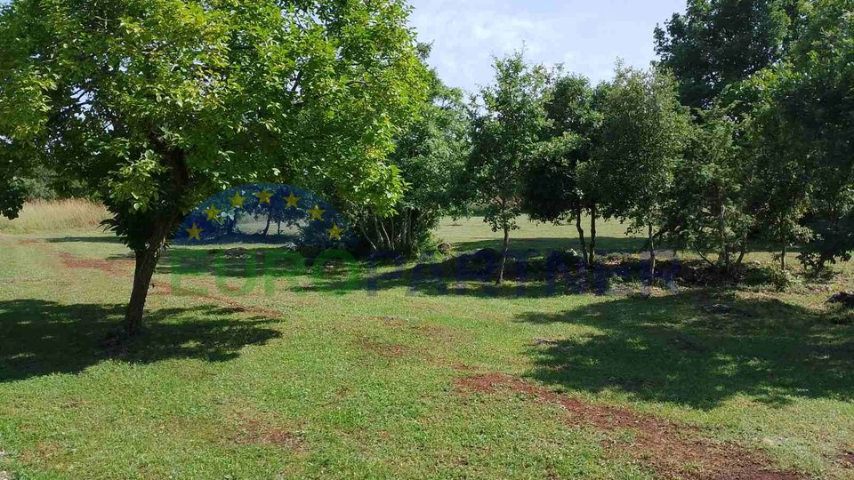 Istria, agricultural land near the center of Rovinj