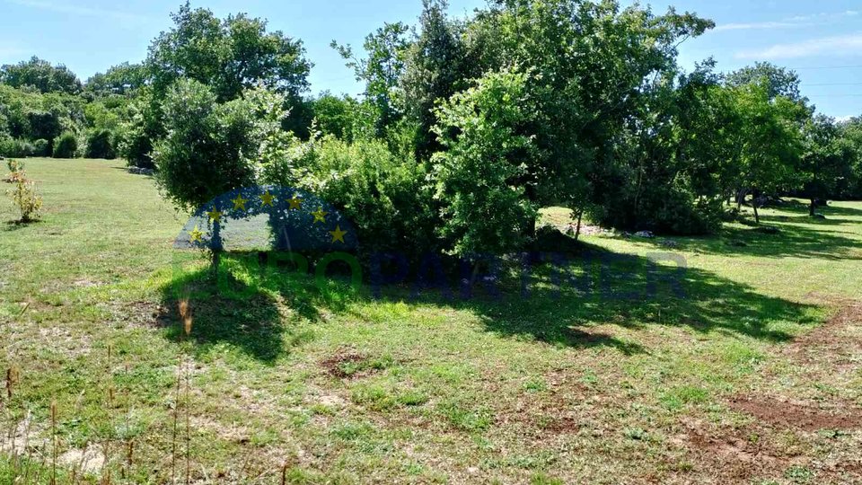 Istria, terreno agricolo vicino al centro di Rovigno