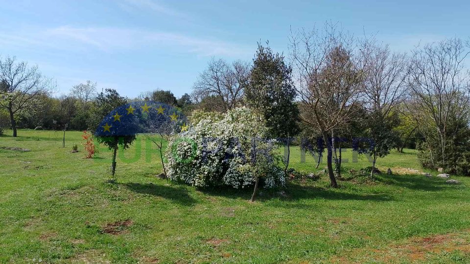 Istrien, landwirtschaftliches Land nahe dem Zentrum von Rovinj