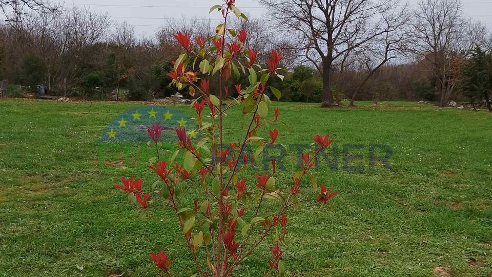 Istria, terreno agricolo vicino al centro di Rovigno