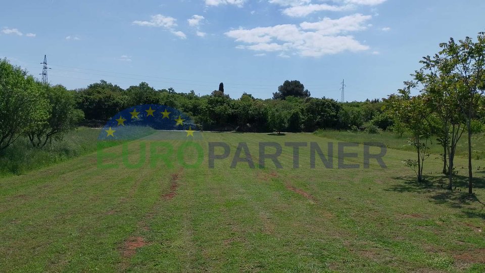 Istrien, landwirtschaftliches Land nahe dem Zentrum von Rovinj