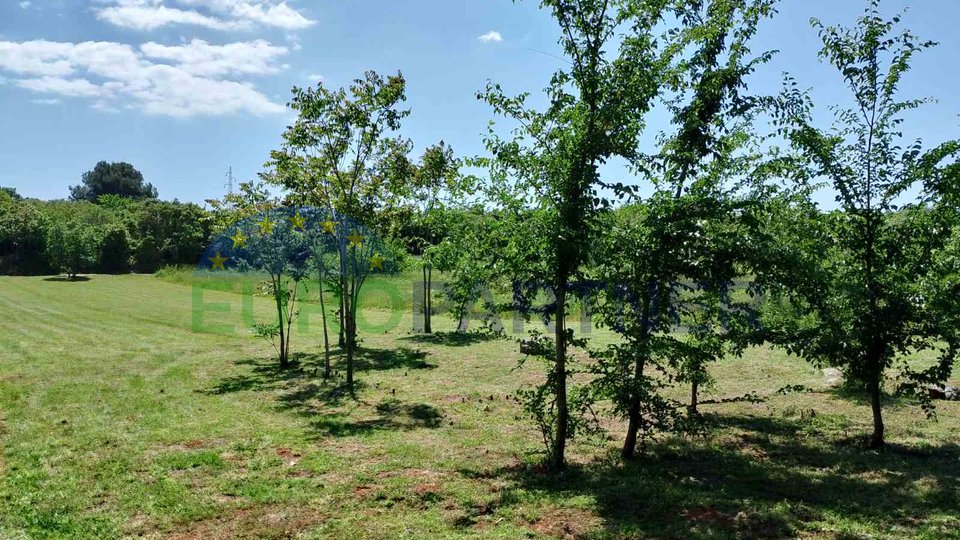 Istrien, landwirtschaftliches Land nahe dem Zentrum von Rovinj