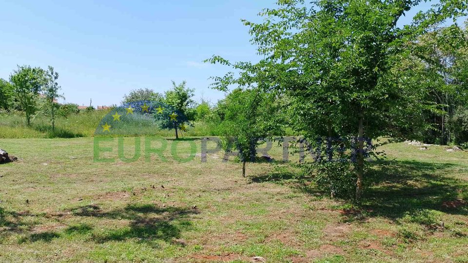 Istrien, landwirtschaftliches Land nahe dem Zentrum von Rovinj