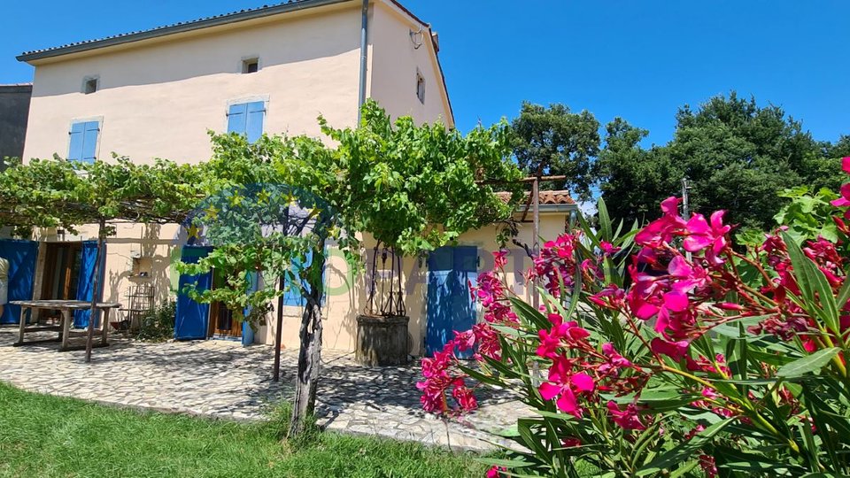 Fantastic stone house in traditional Istrian style in an idyllic location