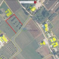 Građevinsko zemljište s pogledom na more, Kaštelir, 2458m2 - 3