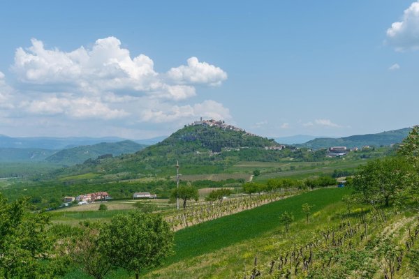 Građevinsko i poljoprivredno zemljište s pogledom na Motovun