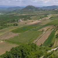 Građevinsko i poljoprivredno zemljište s pogledom na Motovun - 3
