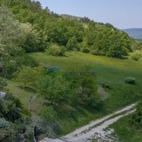Građevinsko i poljoprivredno zemljište s pogledom na Motovun - 4