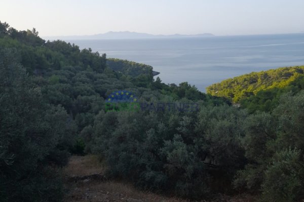 Poljoprivredno zemljište s mogućnošću gradnje i pogledom na more! Korčula