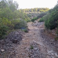 Poljoprivredno zemljište s mogućnošću gradnje i pogledom na more! Korčula - 4