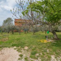 Samostojeća kuća s dvorištem od 1530m2 - 3