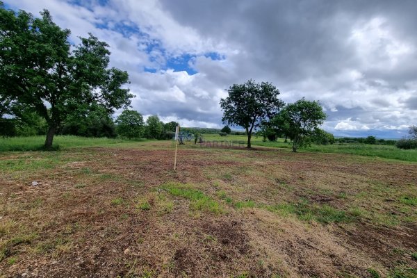 Tar, građevinsko zemljište 1238m2